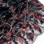Dark · Red
