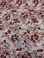 Rust Red
