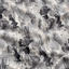 Silver Grey