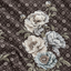 Chocolate · Ivory · Powder blue