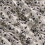 Taupe · Charcoal